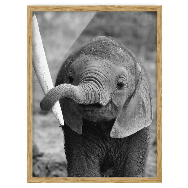 Wanddeko Babyzimmer Elefantenbaby