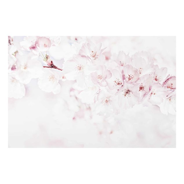 Wanddeko Büro Ein Kirschblütenhauch