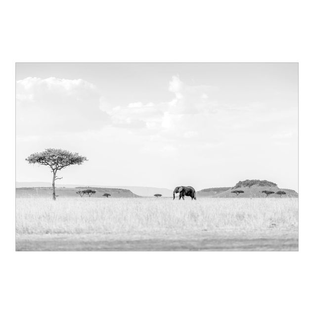 Wanddeko Esszimmer Elefant in weiter Savanne Schwarz-Weiß