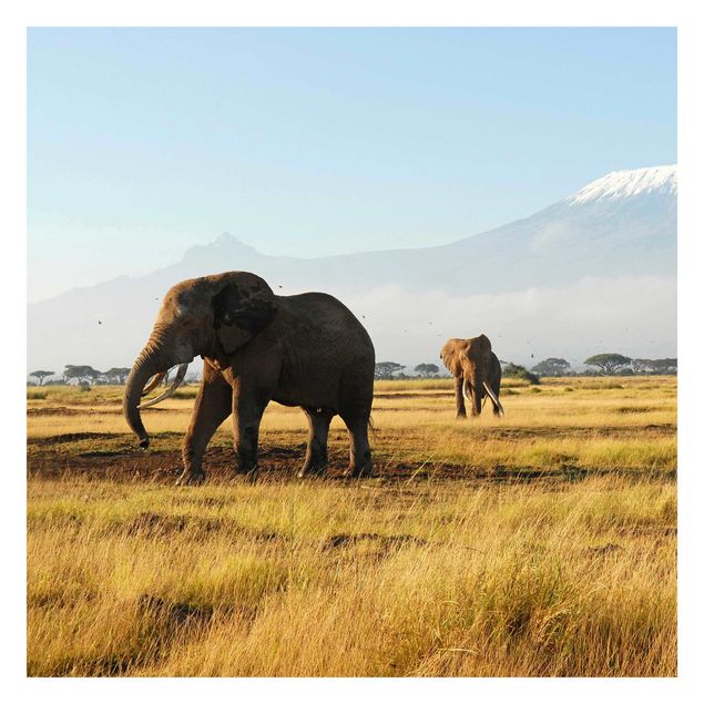 Wanddeko Esszimmer Elefanten vor dem Kilimanjaro in Kenya