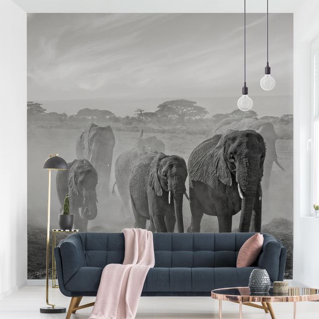 Fototapete Elefant Elefantenherde