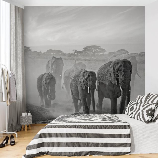 Wanddeko Afrika Elefantenherde