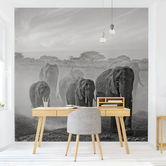 Wanddeko Wohnzimmer Elefantenherde