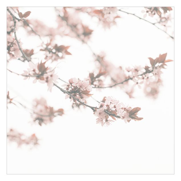 Deko Kirschblüte Erinnerungen an den Frühling