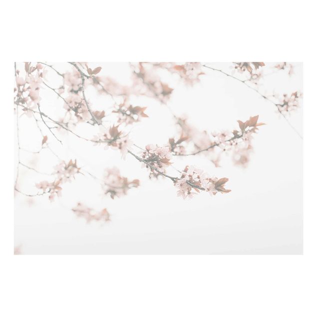 Wanddeko Kirschblüte Erinnerungen an den Frühling