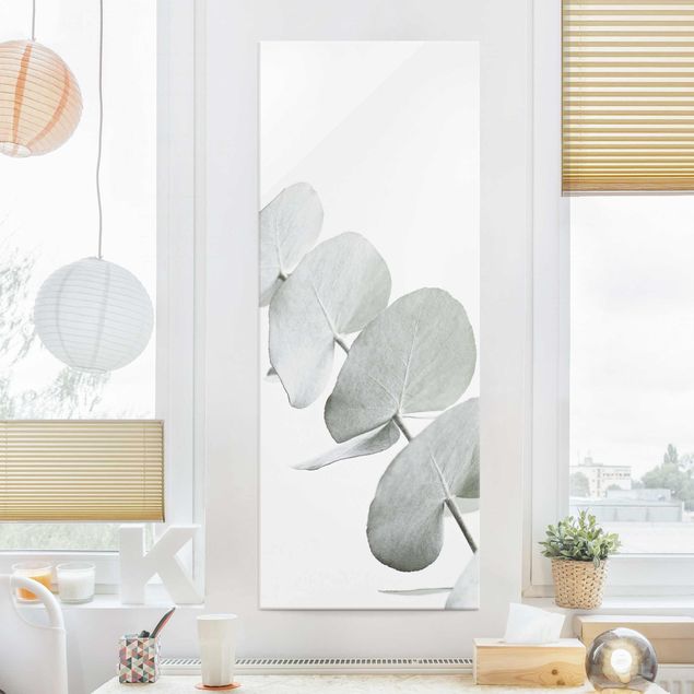 Wanddeko Schlafzimmer Eukalyptuszweig im Weißen Licht