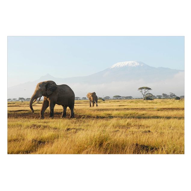 Wanddeko Flur Elefanten vor dem Kilimanjaro in Kenia