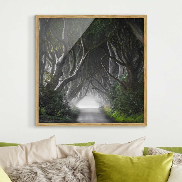 Wanddeko Wohnzimmer Wald in Nordirland