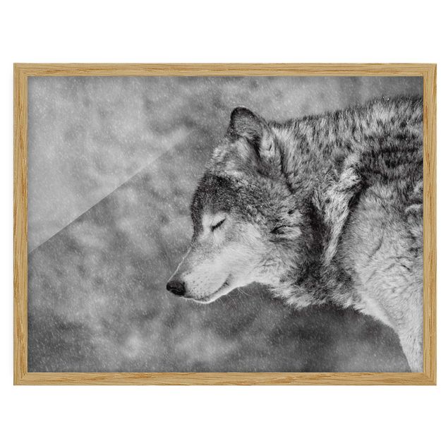 Wanddeko Esszimmer Winter Wolf