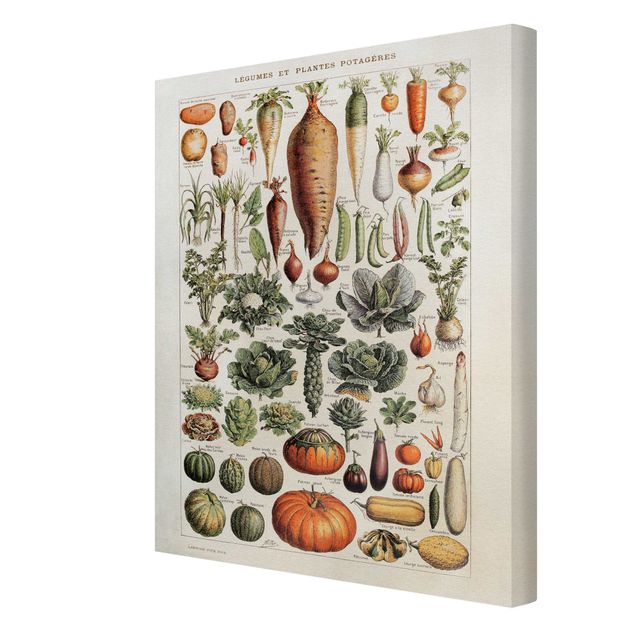 Wohndeko Gemüse Vintage Lehrtafel Gemüse