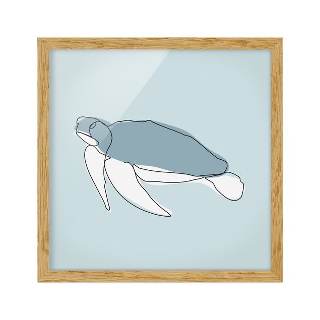 Wandbilder Fische Schildkröte Line Art
