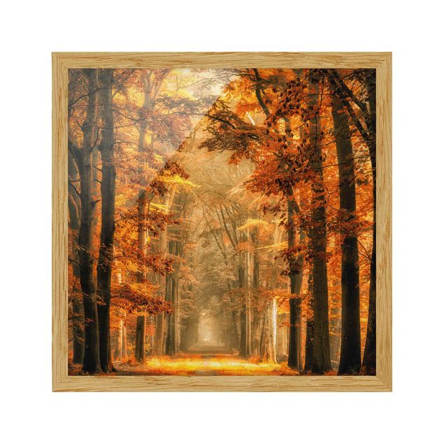 Wanddeko Esszimmer Märchenwald im Herbst