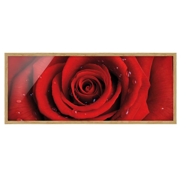 Deko Blume Rote Rose mit Wassertropfen