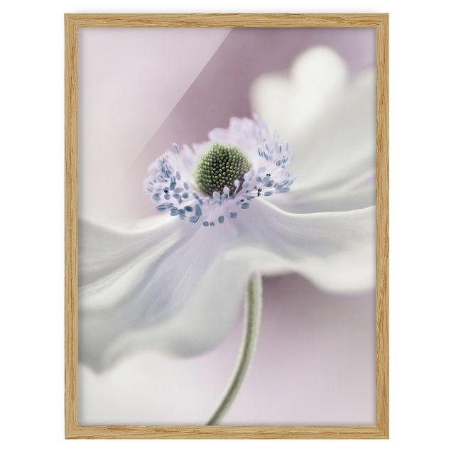 Wohndeko Blume Anemonenbrise
