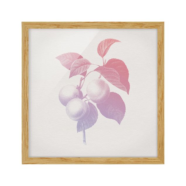 Wanddeko Esszimmer Modern Vintage Botanik Pfirsich Rosa Violett