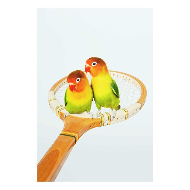 Wanddeko Flur Tennis mit Vögeln