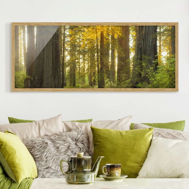 Wanddeko Wohnzimmer Redwood National Park