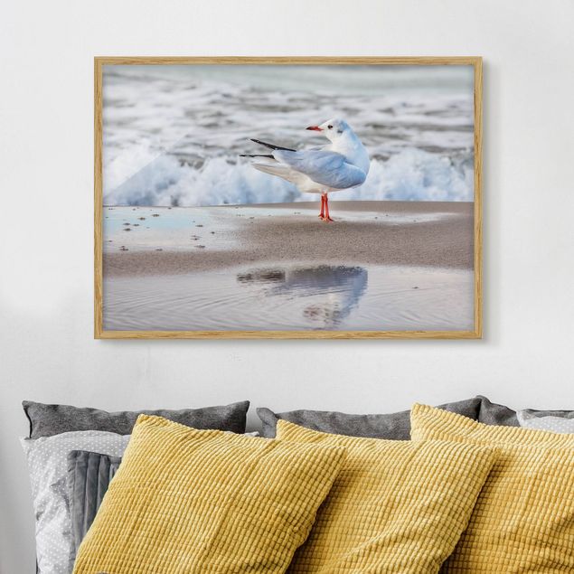 Strandbilder mit Rahmen Möwe am Strand vor Meer