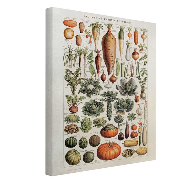 Wanddeko Büro Vintage Lehrtafel Gemüse