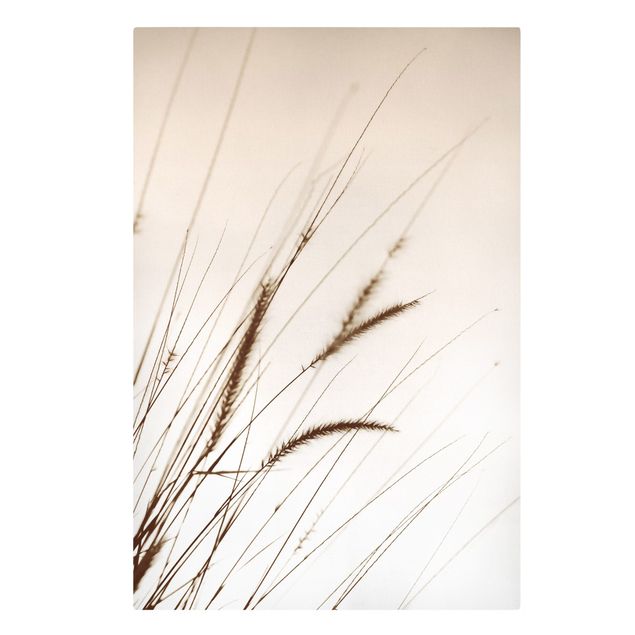 Wanddeko Flur Feldgrass in Sepia