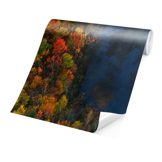 Wanddeko Esszimmer Luftbild - Herbst Symphonie
