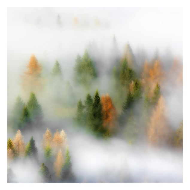 Wanddeko Büro Nebelwald im Herbst
