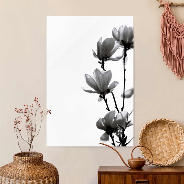 Wanddeko Schlafzimmer Frühlingsbote Magnolie Schwarz Weiß