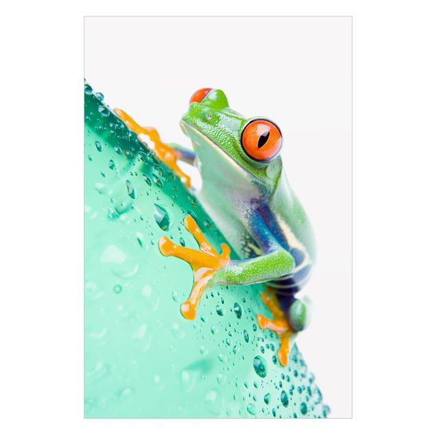 Wanddeko Flur Frog