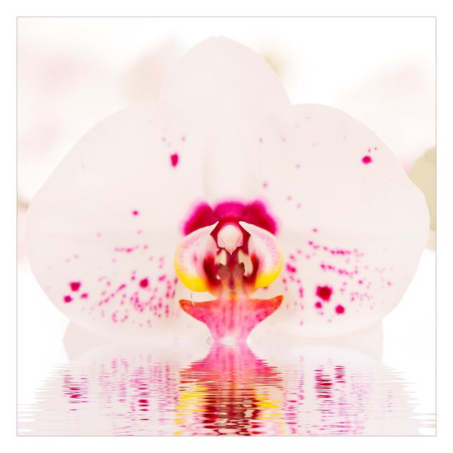 Wanddeko Flur Gepunktete Orchidee auf Wasser