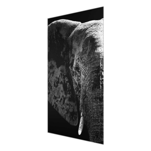 Wanddeko Treppenhaus Afrikanischer Elefant schwarz-weiss