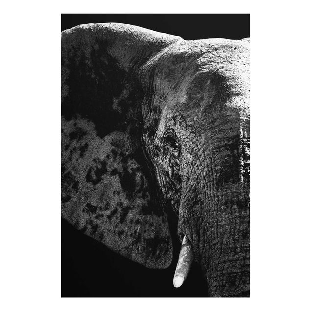 Wanddeko Büro Afrikanischer Elefant schwarz-weiss