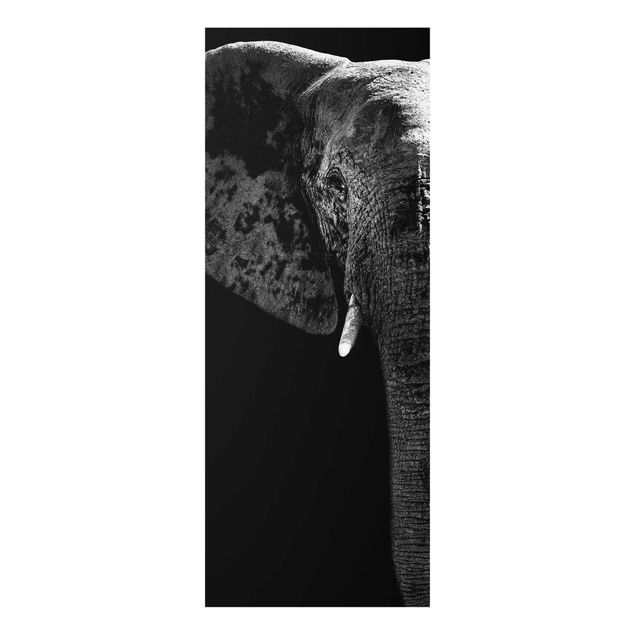 Wanddeko Büro Afrikanischer Elefant schwarz-weiss