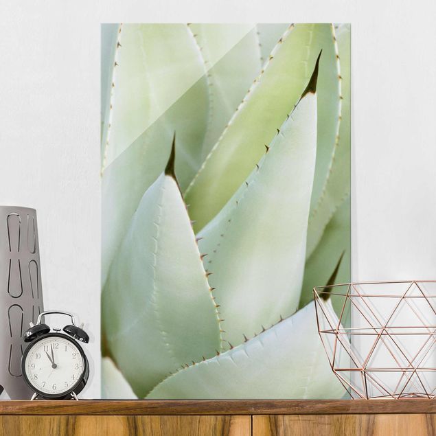 Wanddeko Schlafzimmer Aloe