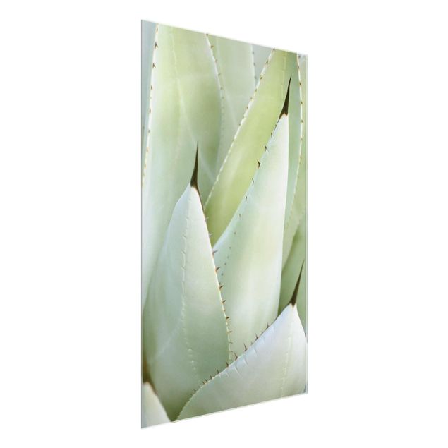 Wanddeko grün Aloe