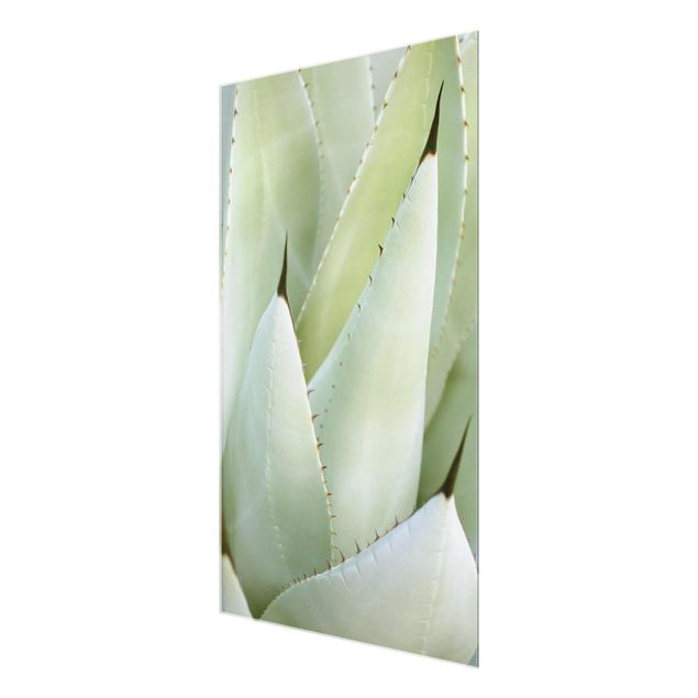 Wanddeko Treppenhaus Aloe
