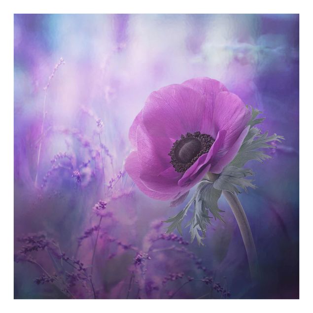 Wanddeko Esszimmer Anemonenblüte in Violett