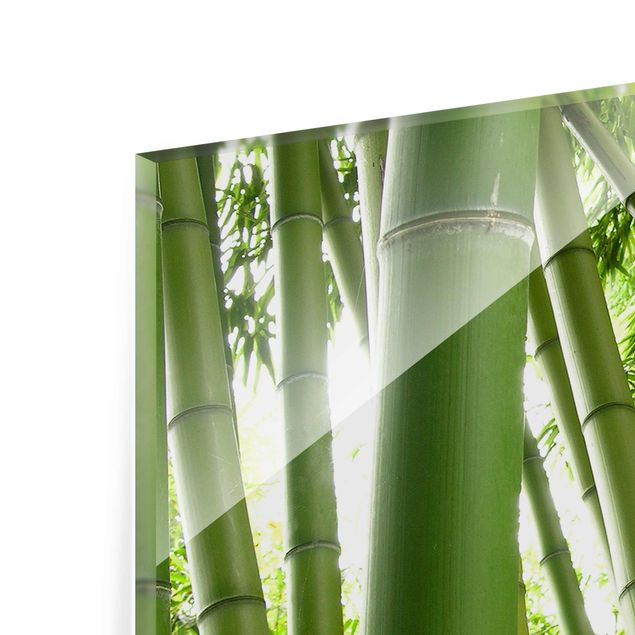 Wanddeko über Bett Bamboo Trees No.1