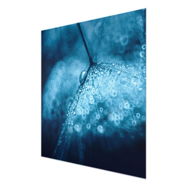 Wanddeko Esszimmer Blaue Pusteblume im Regen
