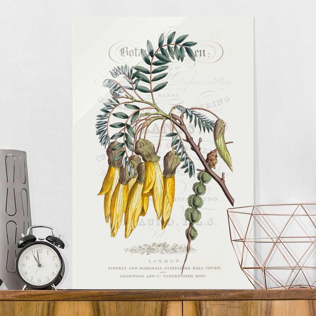 Wanddeko beige Botanisches Tableau - Schnurbaum