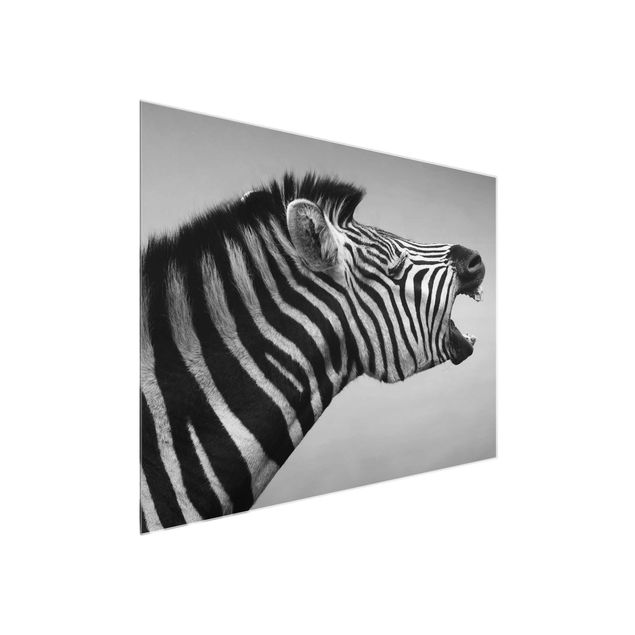 Wanddeko Büro Brüllendes Zebra II