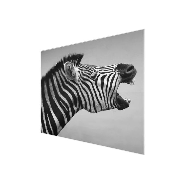 Wanddeko über Sofa Brüllendes Zebra II