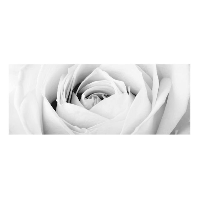 Wanddeko Flur Close Up Rose