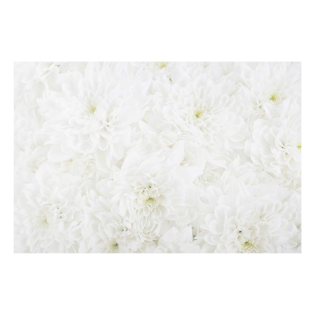 Wanddeko Flur Dahlien Blumenmeer weiß