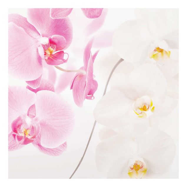 Wanddeko Botanik Delicate Orchids