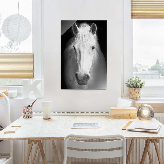 Wanddeko Flur Dream of a Horse