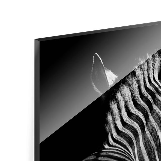 Wandbilder Zebras Dunkle Zebra Silhouette