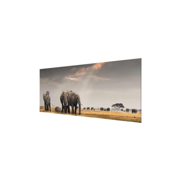 Wanddeko grau Elefanten der Savanne