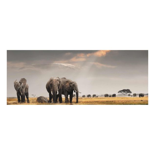 Wanddeko Esszimmer Elefanten der Savanne