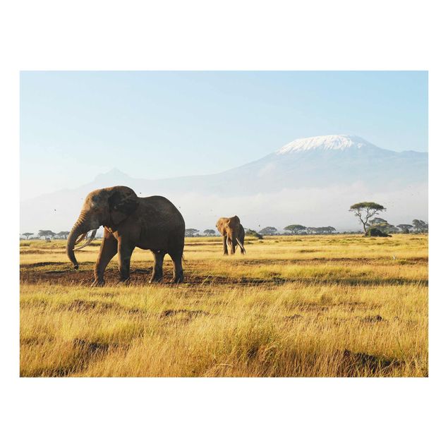 Wanddeko Büro Elefanten vor dem Kilimanjaro in Kenya
