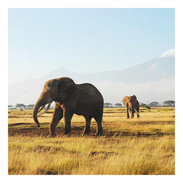 Wanddeko Büro Elefanten vor dem Kilimanjaro in Kenya